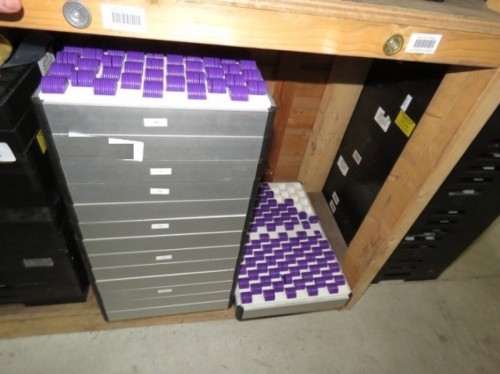 Consumptiemunten paars 1000 stuks in telbak